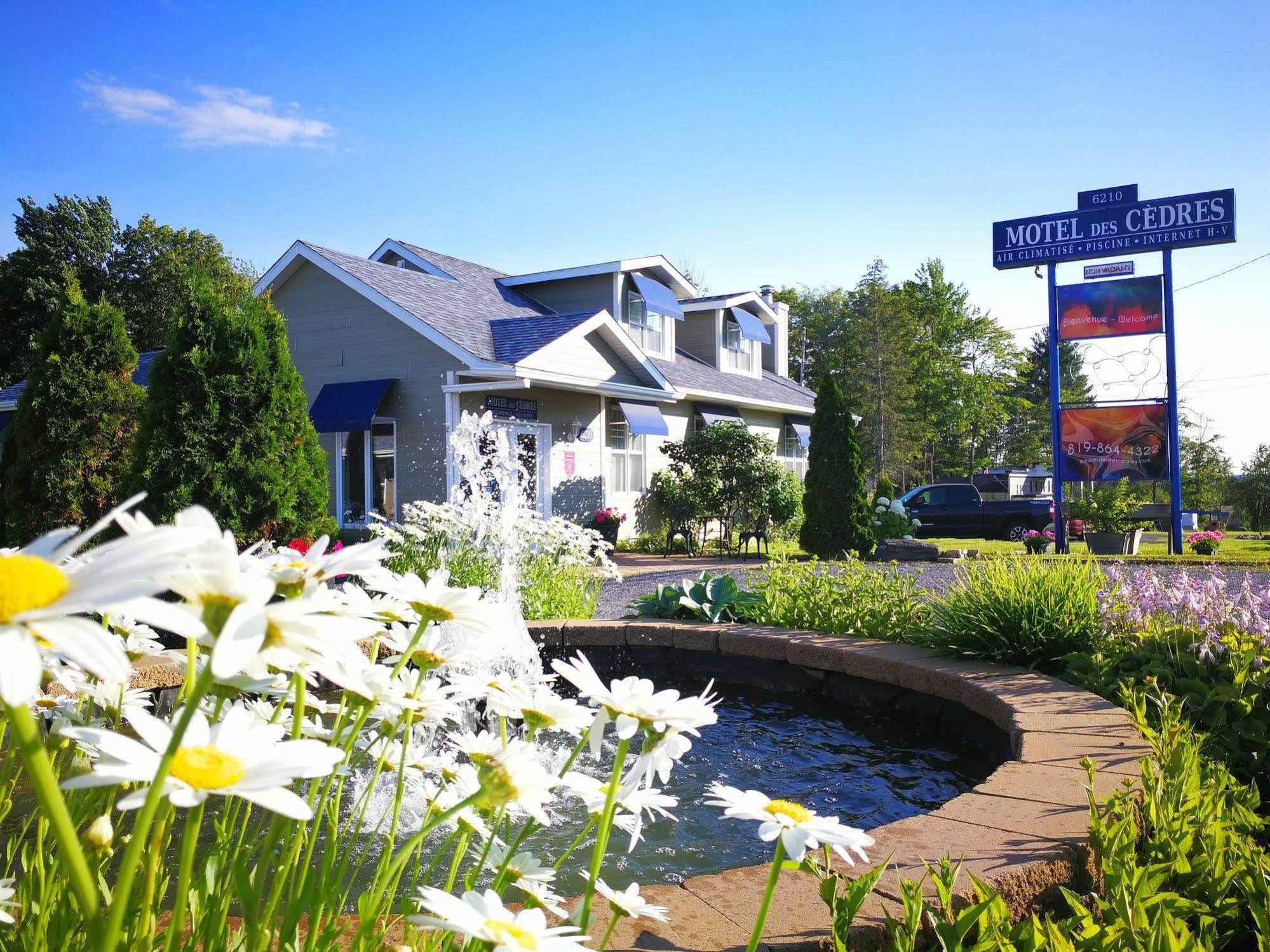 Motel Des Cedres Sherbrooke Buitenkant foto